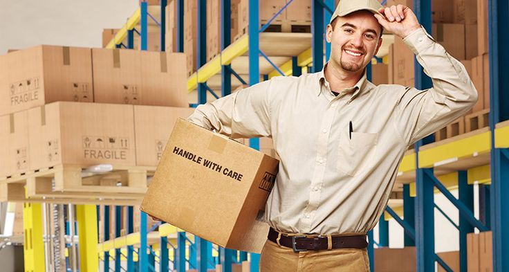 Navigating the Nuances: Safely Shipping Live Mice with Couriers